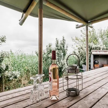 Near Dunes * Callantsoog