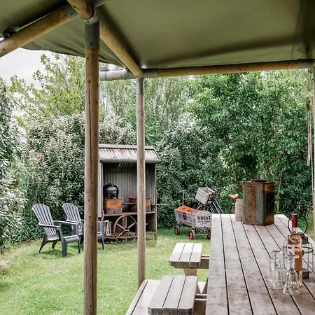 Near Dunes * Callantsoog